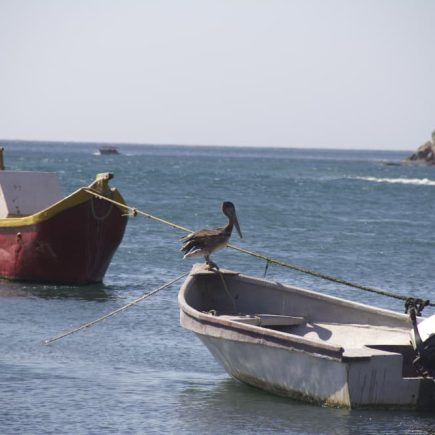 Hélices para barcos de pesca: o que considerar na escolha