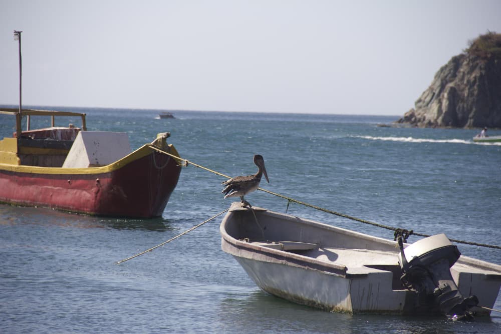 Hélices para barcos de pesca: o que considerar na escolha